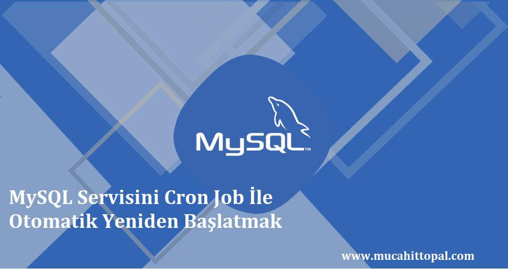 Cron Job İle MySQL Restart